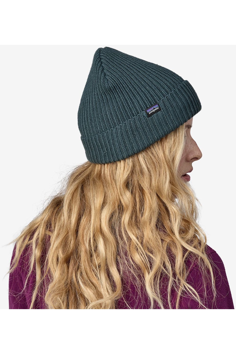 Patagonia Fishermans Rolled Beanie