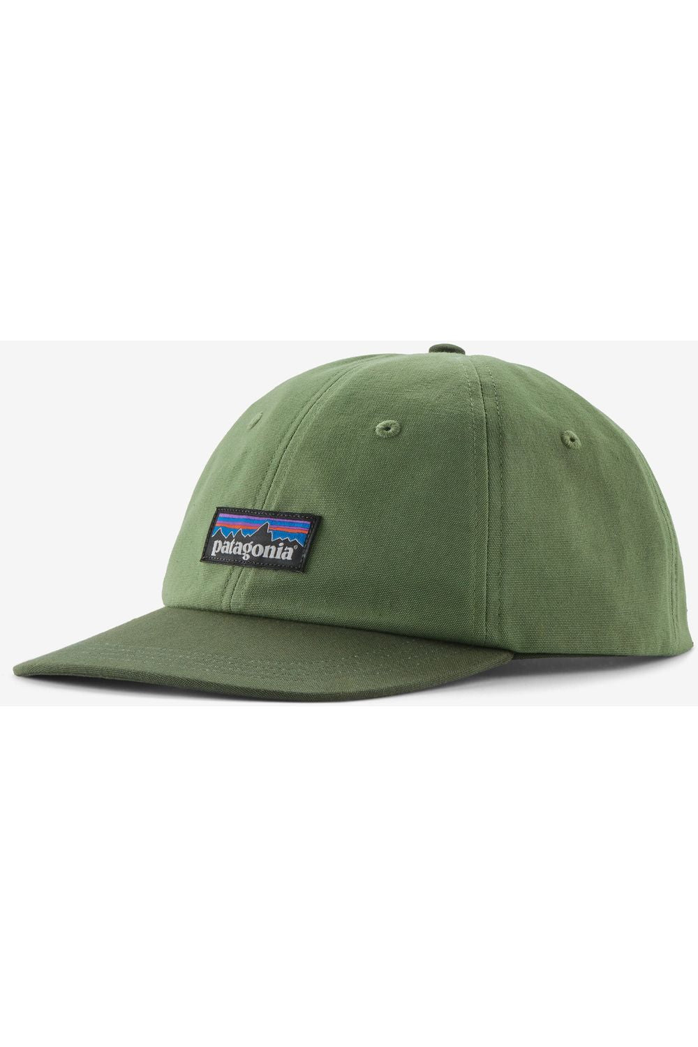 Patagonia P-6 Label Trad Cap