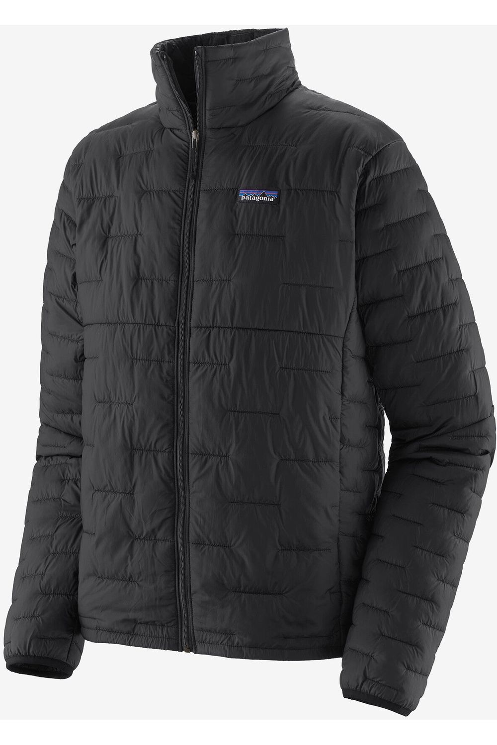 Patagonia Mens Micro Puff Jacket Black