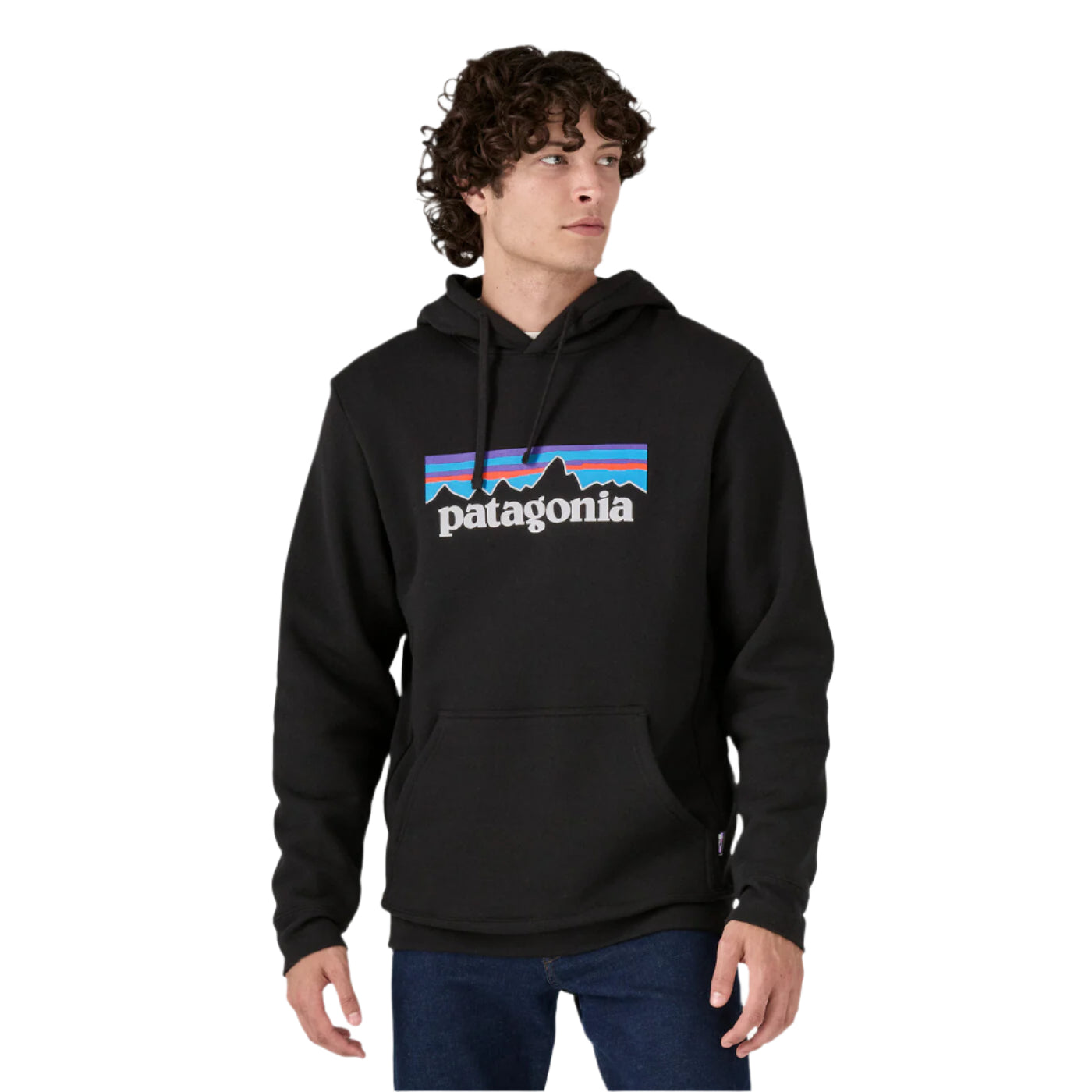 Patagonia P-6 Logo Uprisal Hoody Black